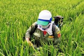 Workshop Coding untuk Pemula